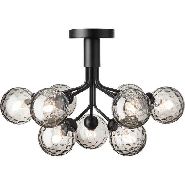 Apiales 9 Plafond Satin Black / Røkt