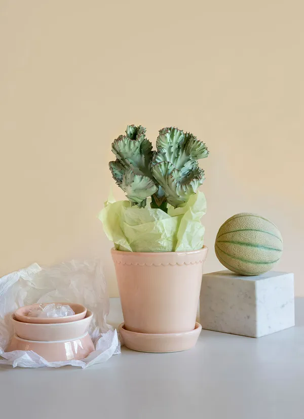 Helena Krukke Quartz Rose 18 cm