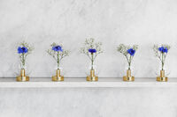 Orbis Vase Brass