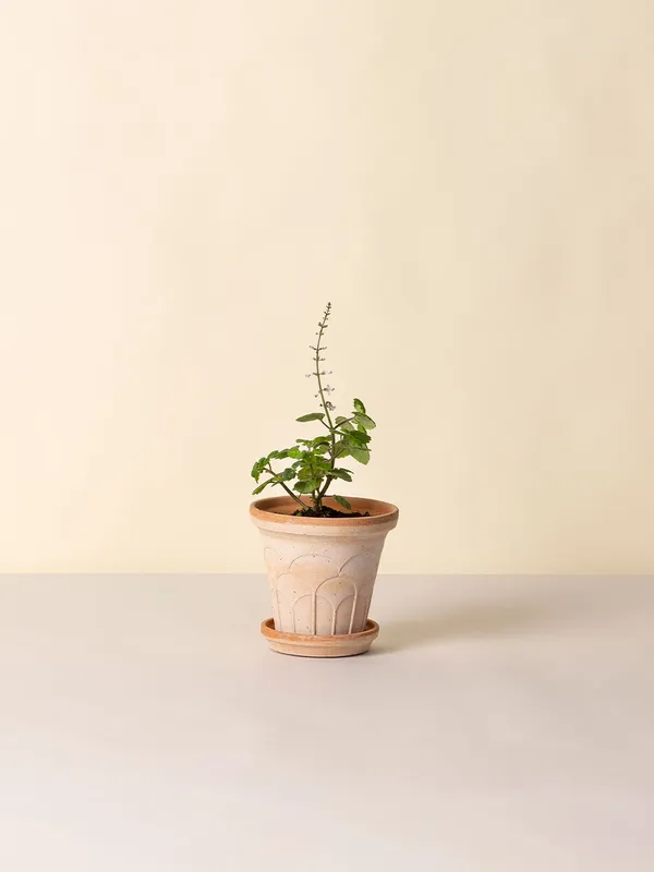 Fleur Kruka 14 cm Rosa