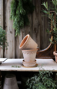 Copenhagen Pot Rose 18 cm