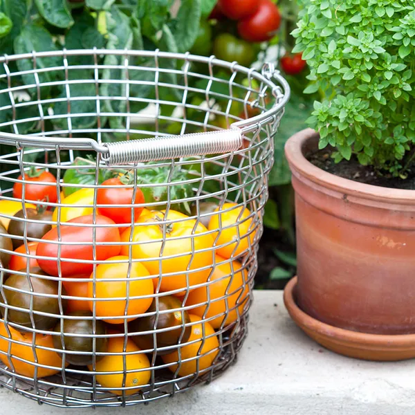 Bucket 16 Syrefast rustfrit stål