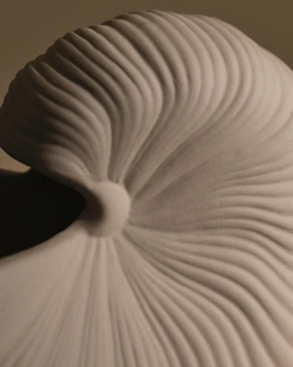 Shell Vase 23 cm