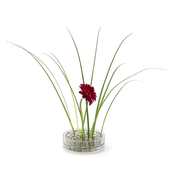 Äng Vase Pond Steel