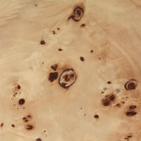 Burl Salongbord 70x117 cm