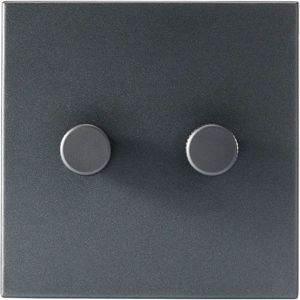 Double Rotary Wall dimmer Graphite