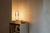 Radiant Lampa Oak