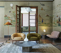 9602 Lattiavalaisin Wicker Willow