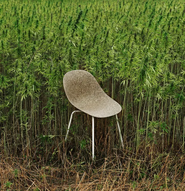 Mat Stol Seaweed / Cremefarvet