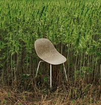 Mat Stol Seaweed / Cremefarvet