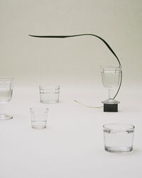 Surface Tumblerglas Small
