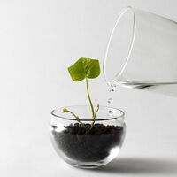 Grow Minidrivhus S Klar