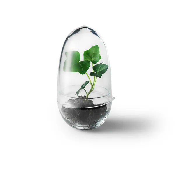 Grow Minidrivhus S Klar