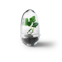 Grow Minidrivhus S Klar