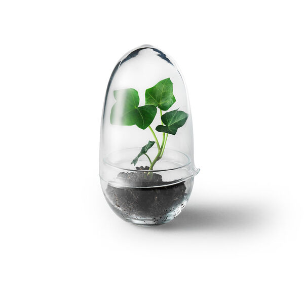 Grow Pienoiskasvihuone S Kirkas