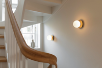 Liila 1 Væg-/Loftslampe 140 mm Nordic Gold / Opal