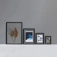 Frame A5 Ram 168x23 cm Ask