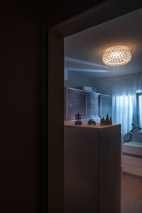 Caboche Plus Taklampe Grå Dimmer