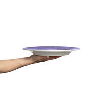 Basic Tallerken 28 cm Violet