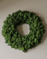 Moss Krans Grøn