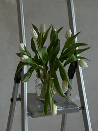 Ikebana Small Vas Mässing