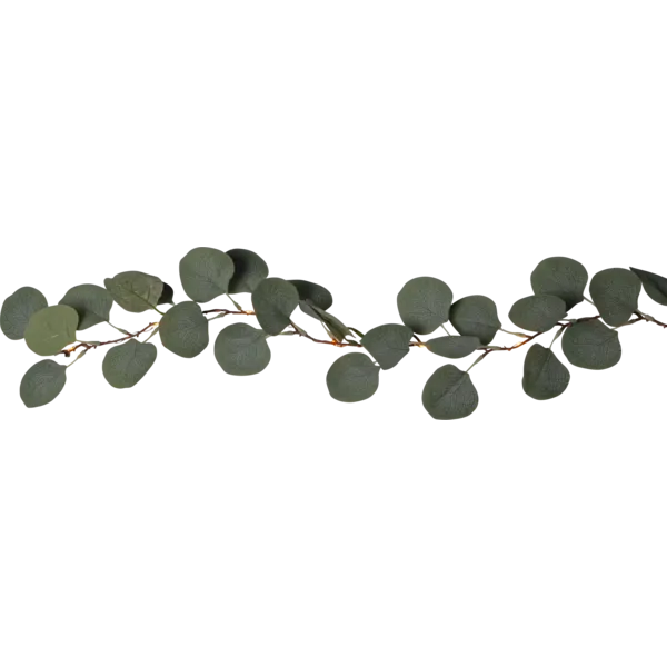 Eucalyptus Guirlande