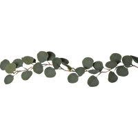 Eucalyptus Guirlande
