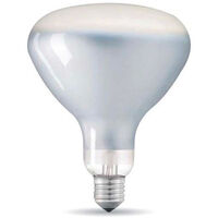 RF31459 Ljuskälla LED E27 12W 1180lm 2700K R125 Dimbar