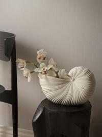 Shell Krukke Off White