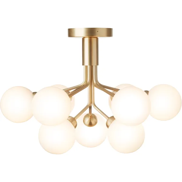 Apiales 9 Plafond Mässing / Opal