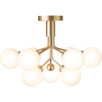 Apiales 9 Plafond Mässing / Opal