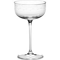 Midnight Flowers Champagneskål 24 cl Transparent