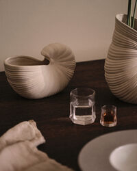 Shell Vase 23 cm