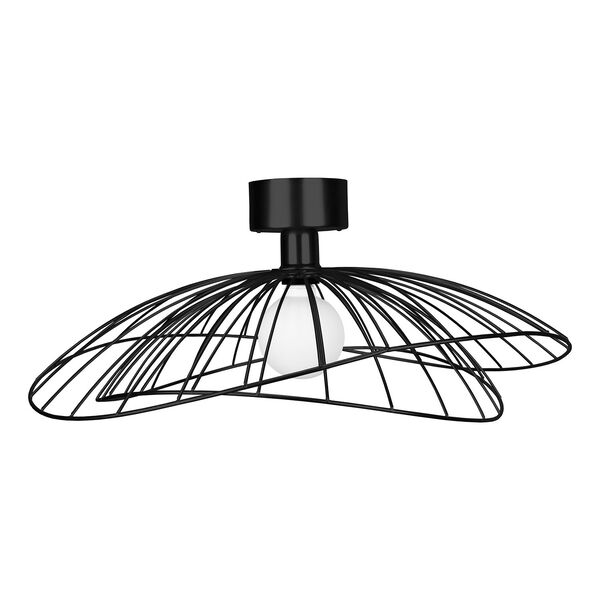 Ray Væg-/Loftslampe Sort
