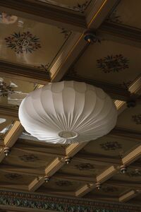 Bladverk Loftslampe Hvid 70 cm