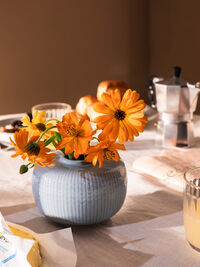 Swedish Grace Vase Ø13 cm Is