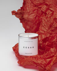 Bougie Parfumée Duftlys Cedar