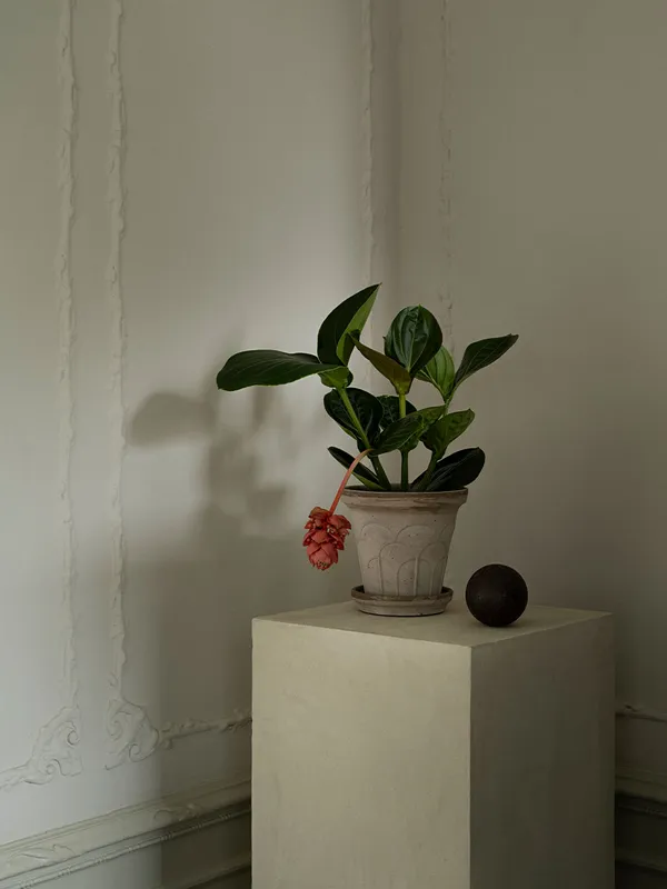 Fleur Ruukku 18 cm Harmaa