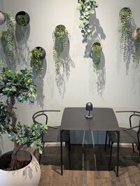 Luceo Bordlampe Bærbar Sort