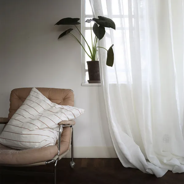 Alice Gardin Dubbel Bredd 290x250 cm Vit