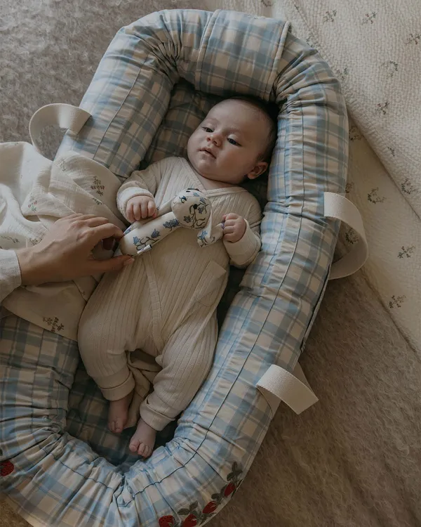 Plaid Sky Blue Babynest