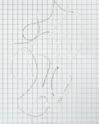 Strömsladd 75 m Pearl