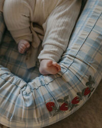 Plaid Sky Blue Babynest