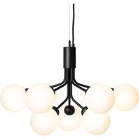 Apiales 9 Lysekrone Satin Black / Opal