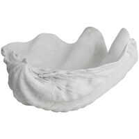Shell Deco White Small