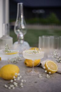 Ripple Champagneskål 2-pak Klar
