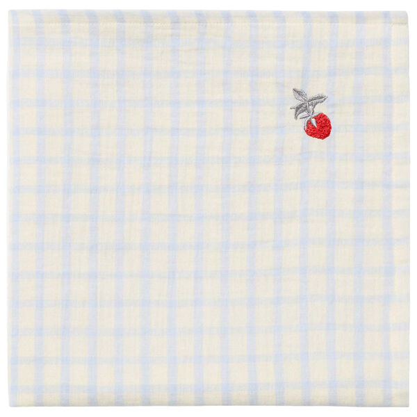 Gingham Sky Blue Muslin Babysvøb 110x110 cm