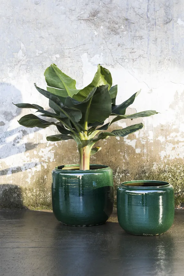 Costa Pot M D21 H21 Green