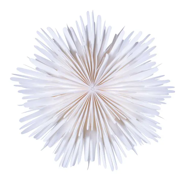 Molly Christmas Star 44 cm White