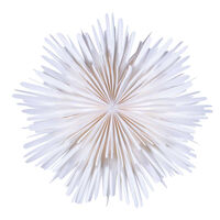 Molly Christmas Star 44 cm White